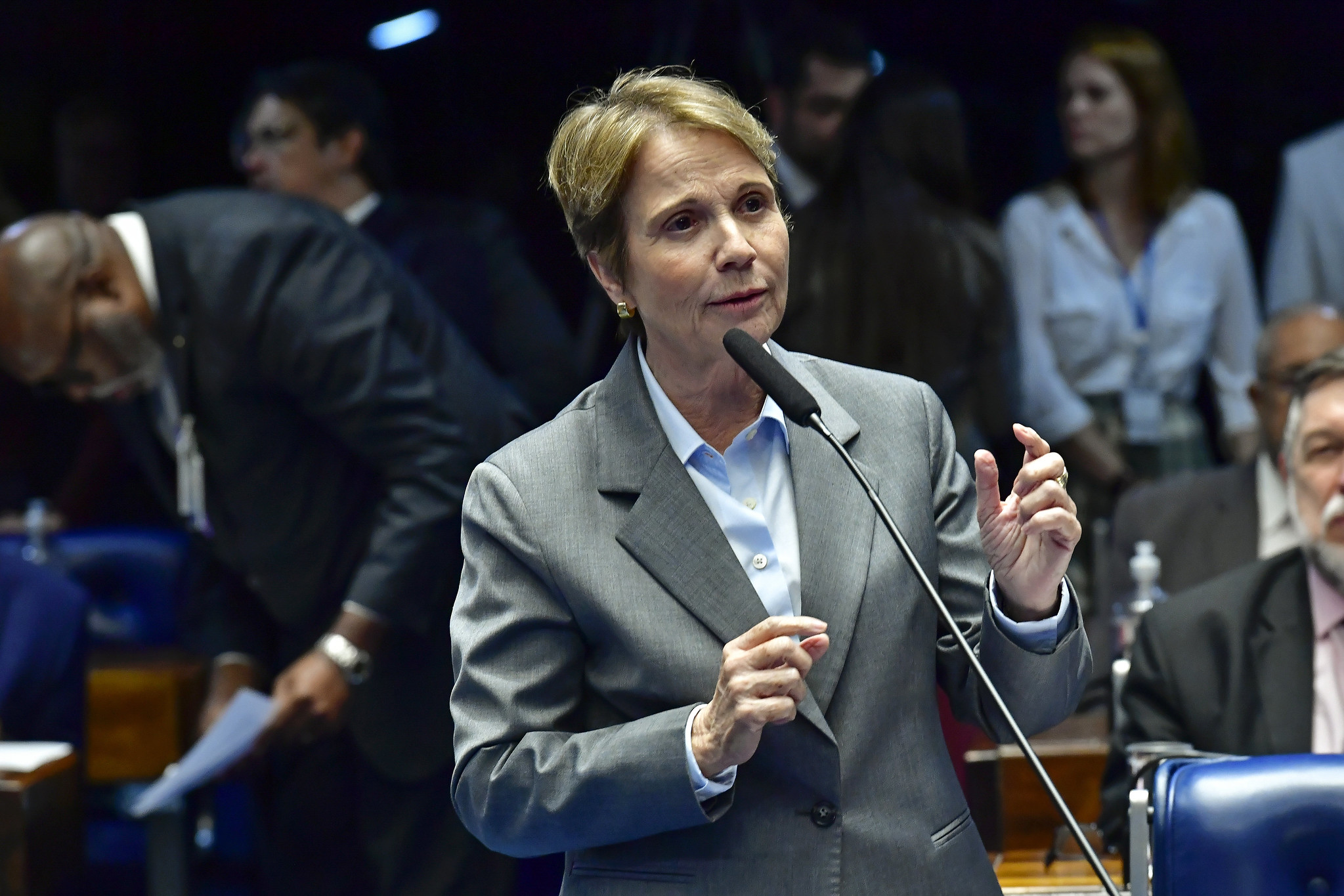 Com voto de Tereza Cristina, Senado aprova novos prazos para regularização ambiental