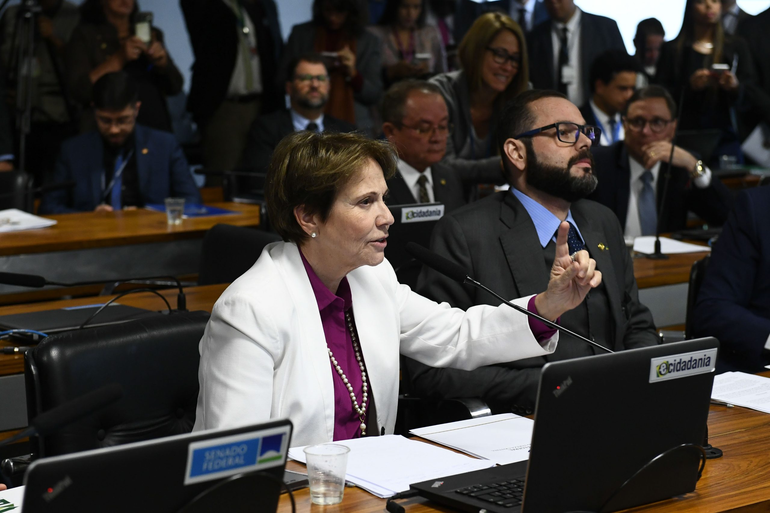 Tereza Cristina propõe acordo para votação do Marco Temporal na Comissão de Agricultura