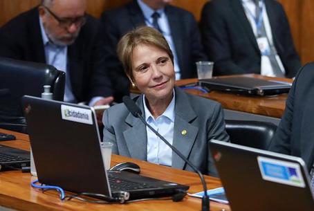 Criação de Grupo Parlamentar Brasil-União Europeia é aprovada no Senado