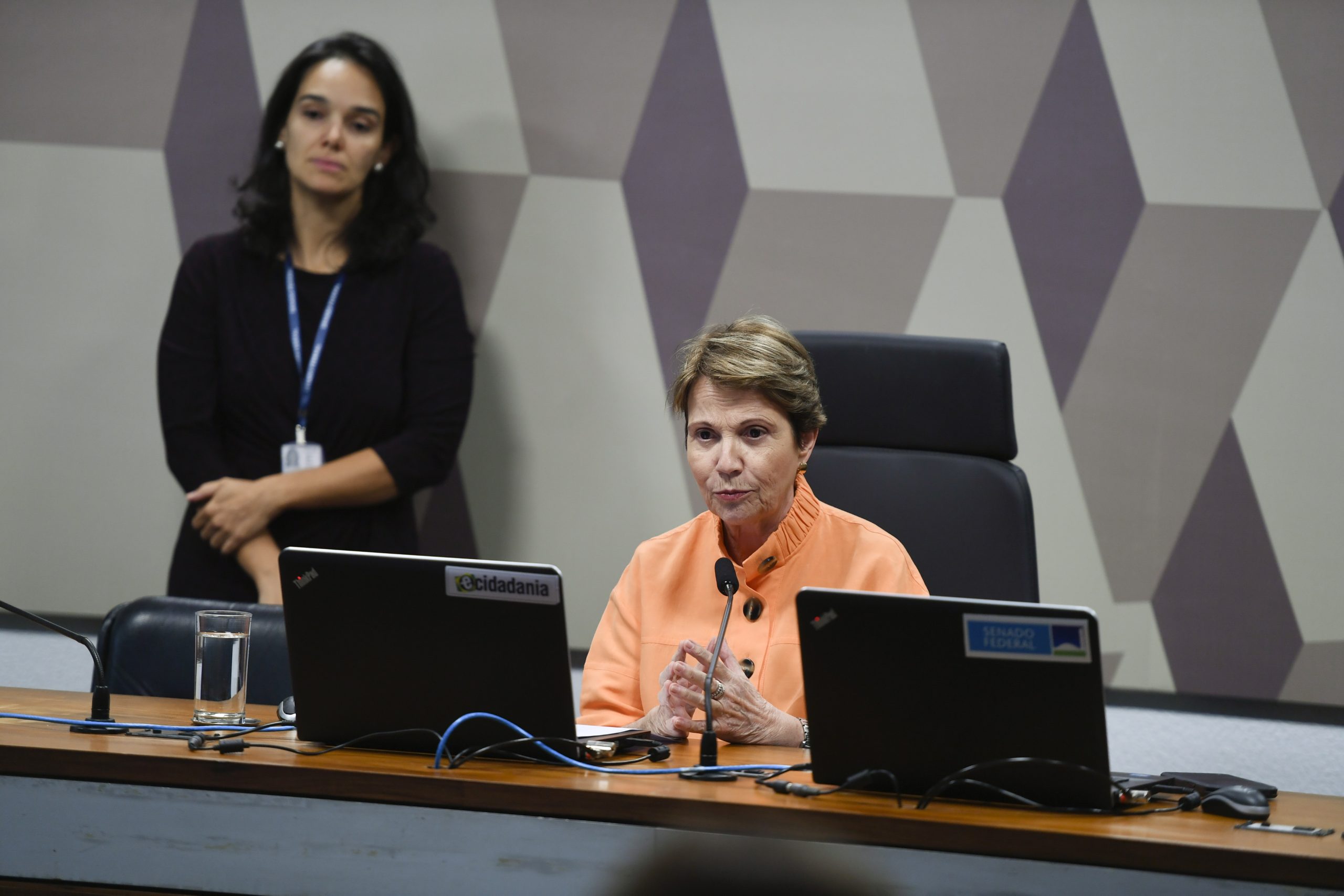 Tereza Cristina aprova investimentos para  transporte no MS no Orçamento de 2024