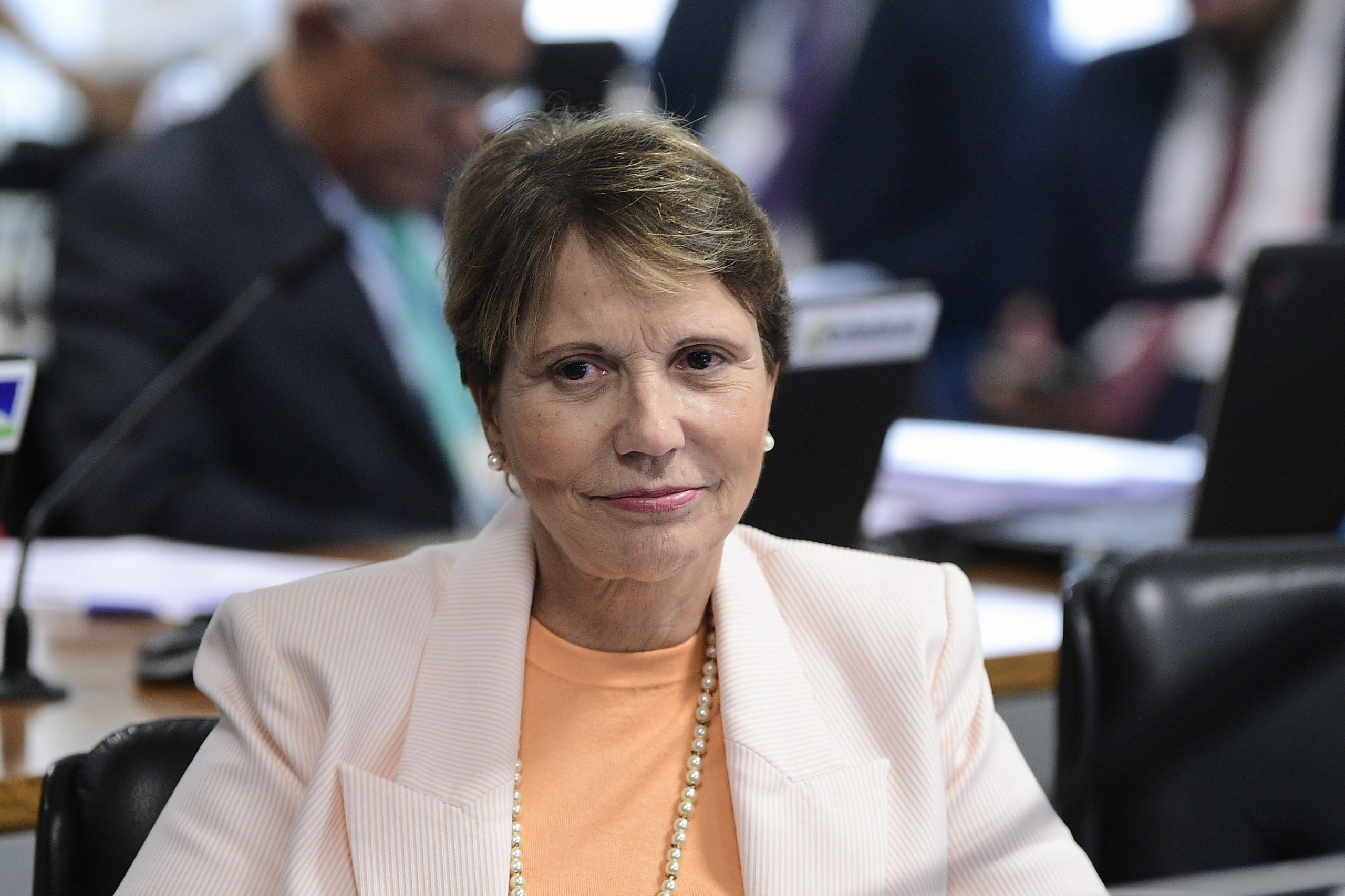 Tereza Cristina assume vice-presidência da  subcomissão do Pantanal