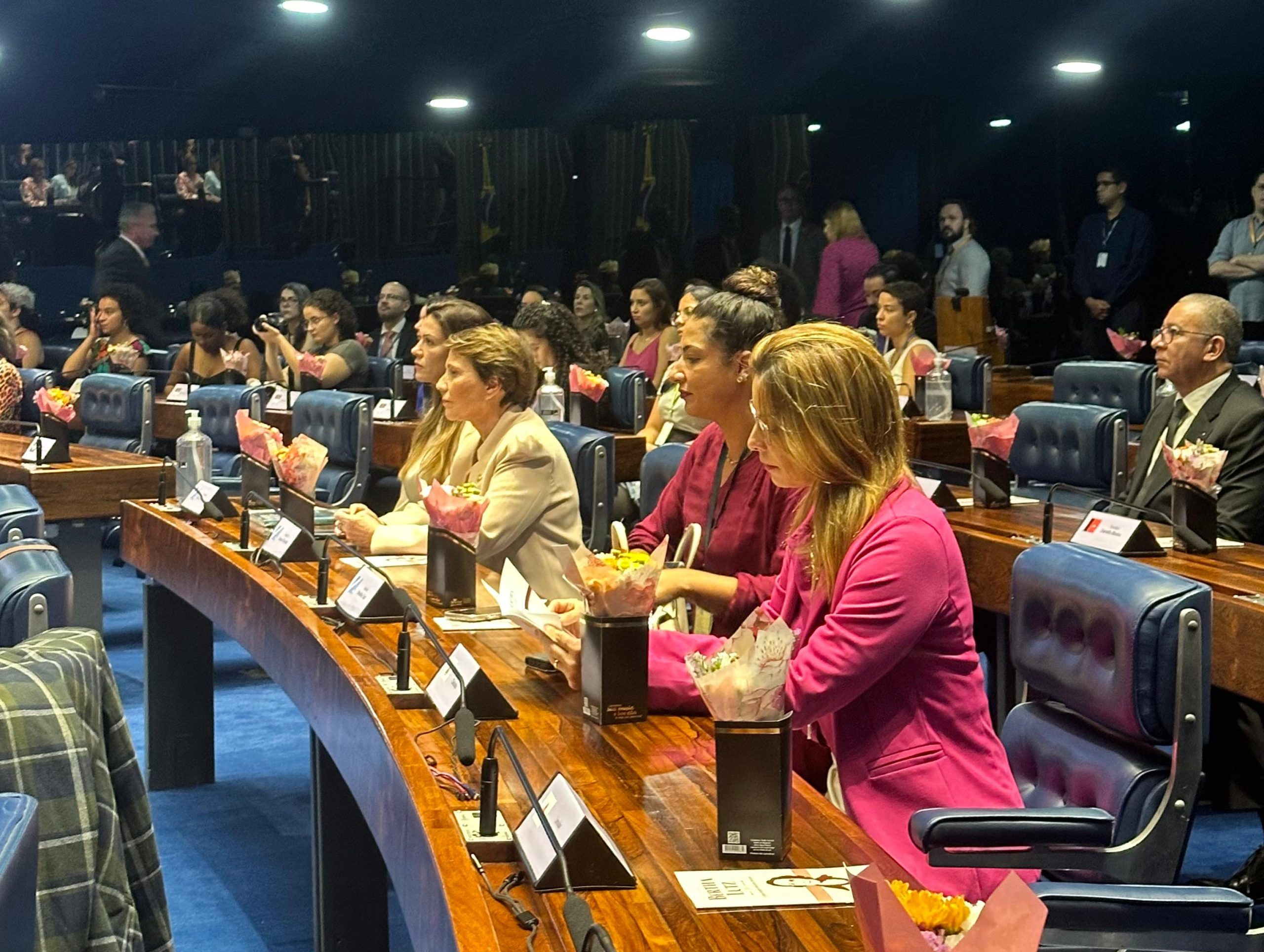Senado premia mulheres com Diploma Bertha Lutz por atuação no combate ao feminicídio