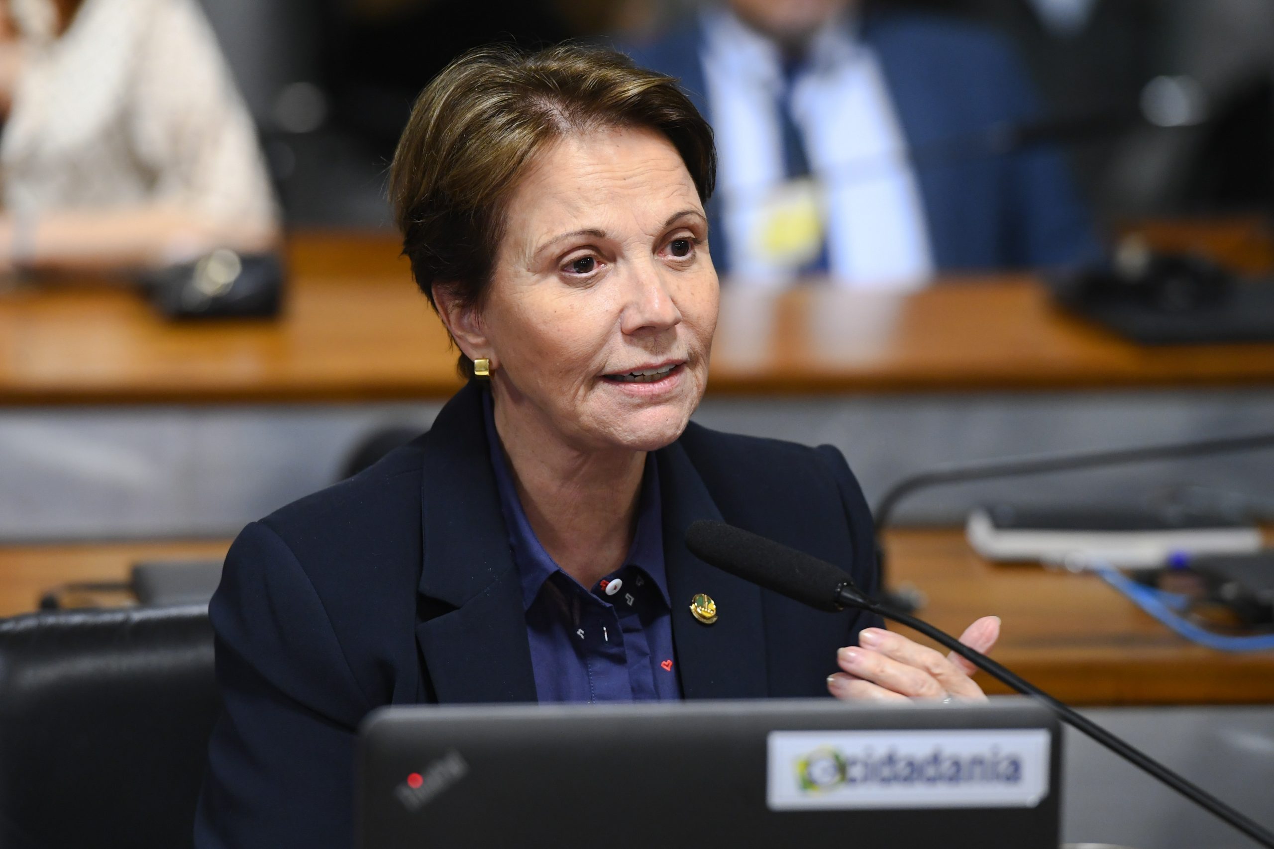 Congresso discute desafios para efetivar o Código Florestal Brasileiro