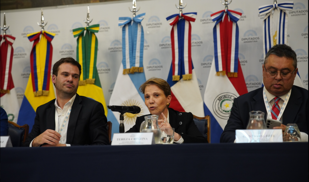 “Levamos a voz do produtor para o Parlamento”, afirma Tereza Cristina na Cúpula Agro Global